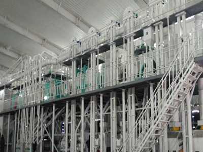 埃塞俄比亚40吨兵豆成套项目